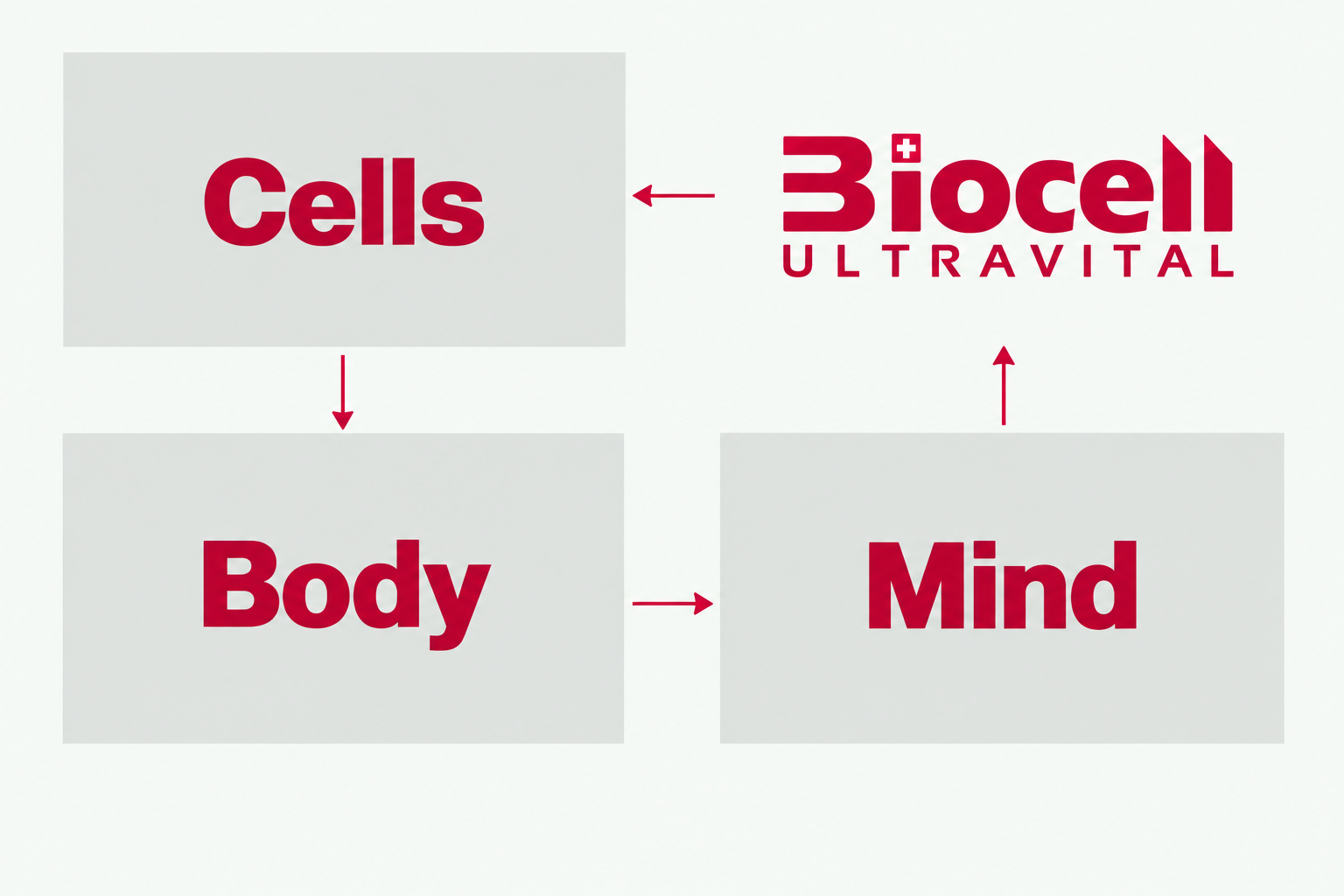 Diagram connecting Biocell, cells, the human body and mind
