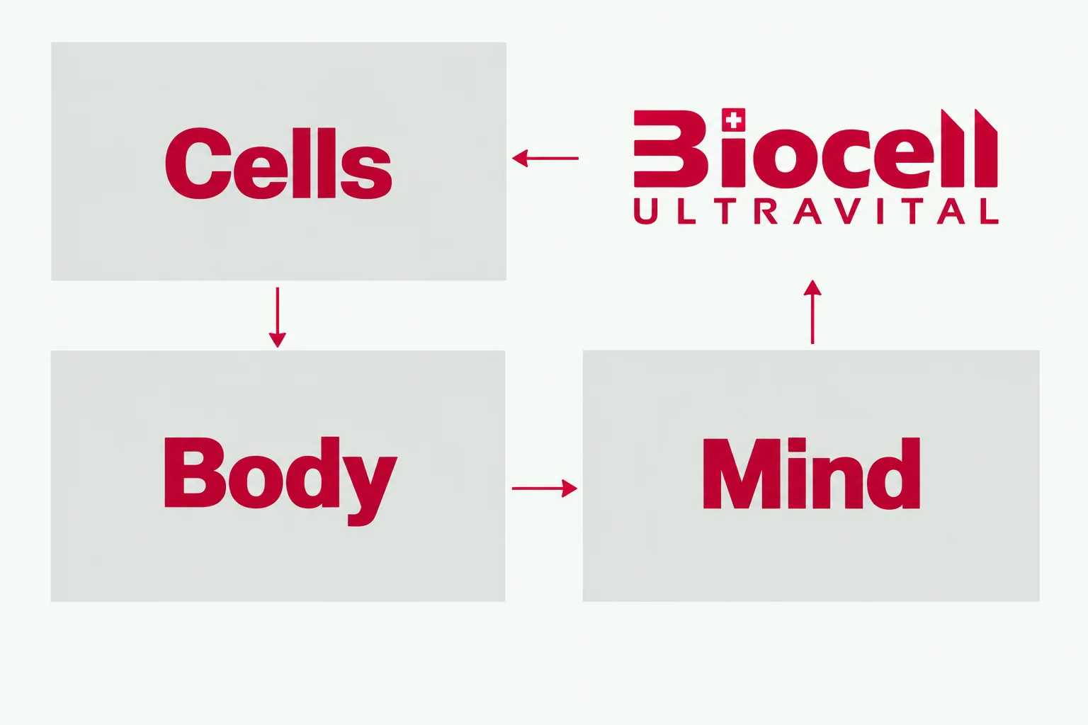Diagram connecting Biocell, cells, the human body and mind